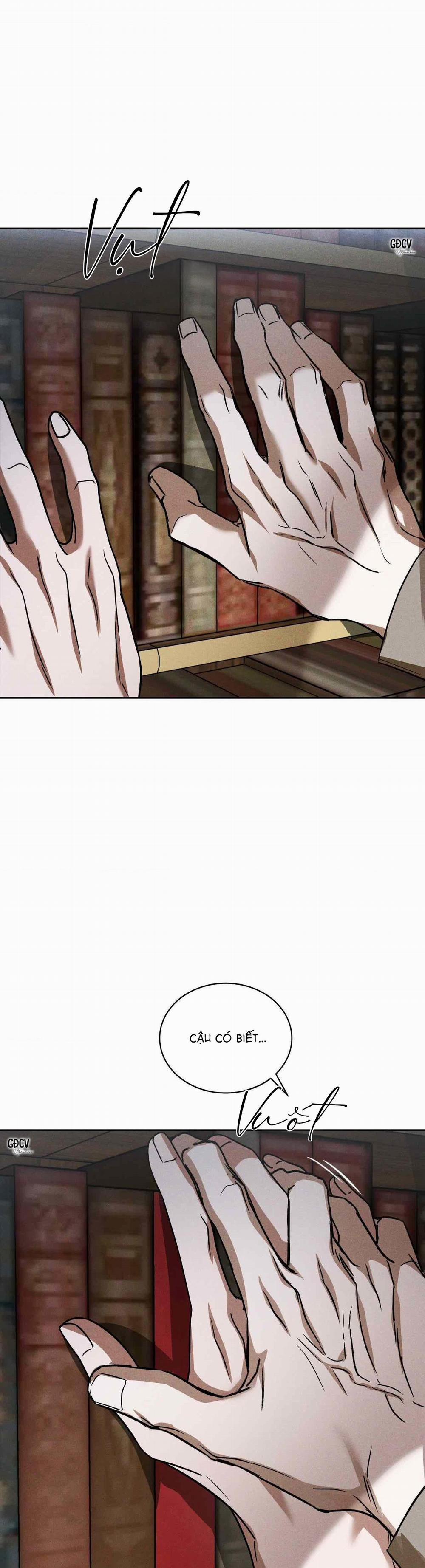 Ánh Nhìn 14 trang 17