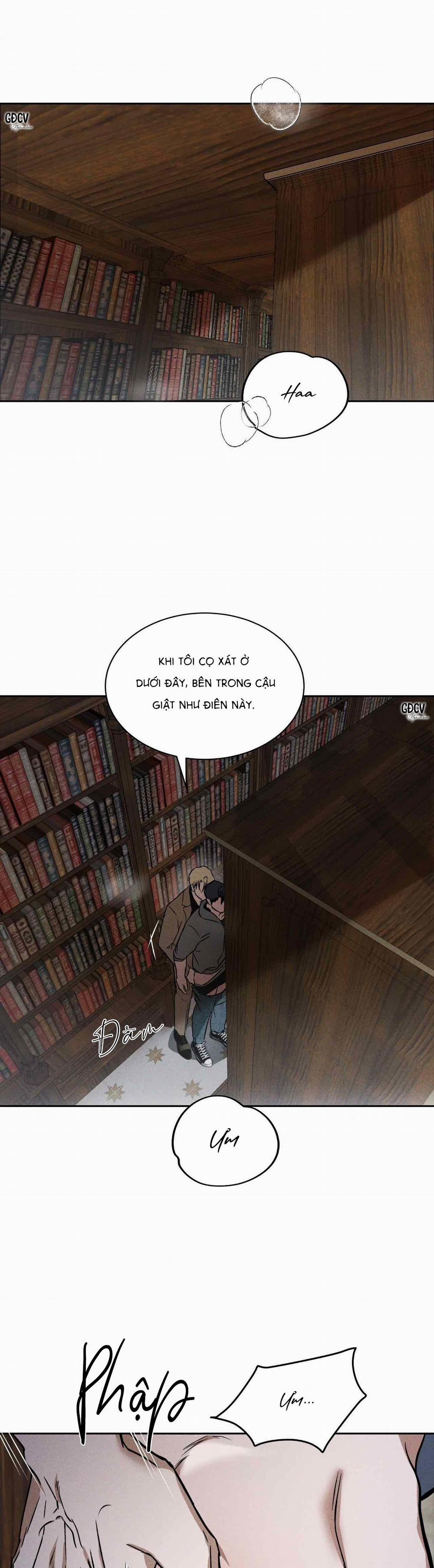 Ánh Nhìn 14 trang 21