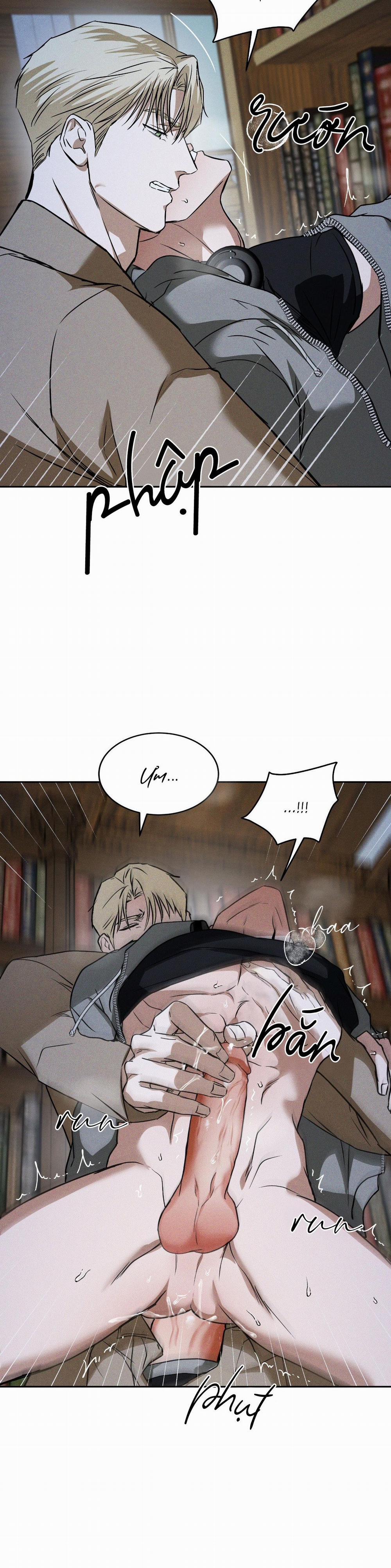 Ánh Nhìn 15 trang 27