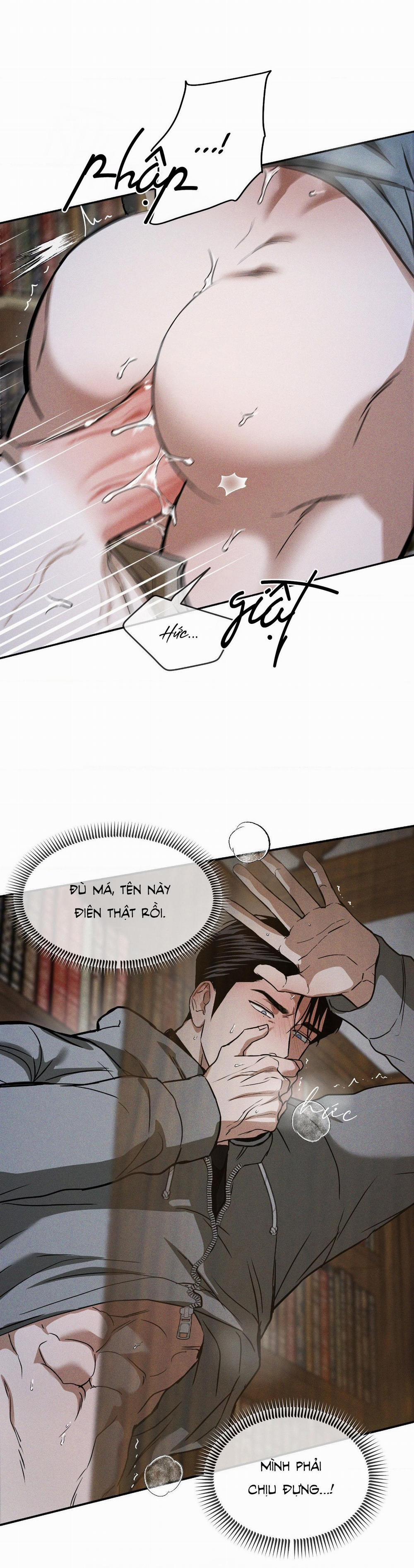 Ánh Nhìn 15 trang 8