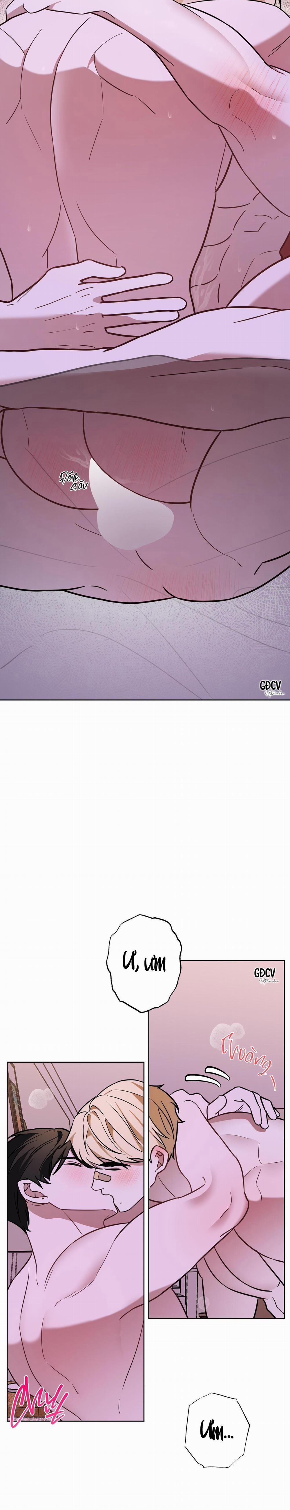 ANH ƠI, KHÔNG THỂ LÀ EM SAO? 10 0 trang 19