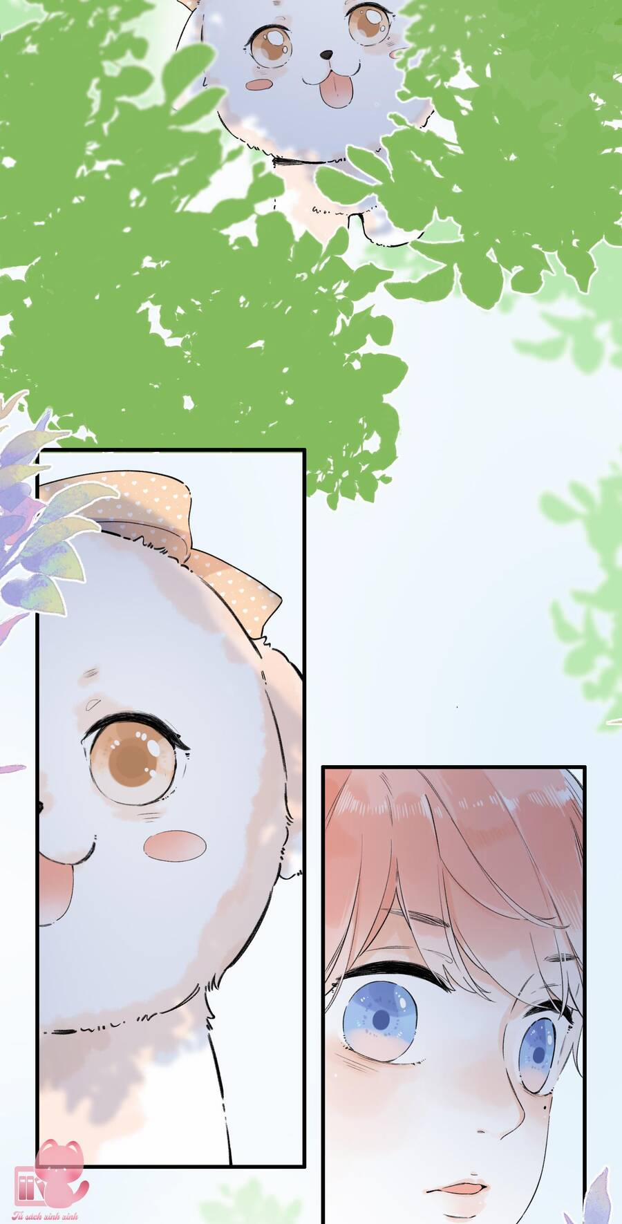 Ánh Sao Trôi Dạt Giữa Làn Nước 17 trang 14