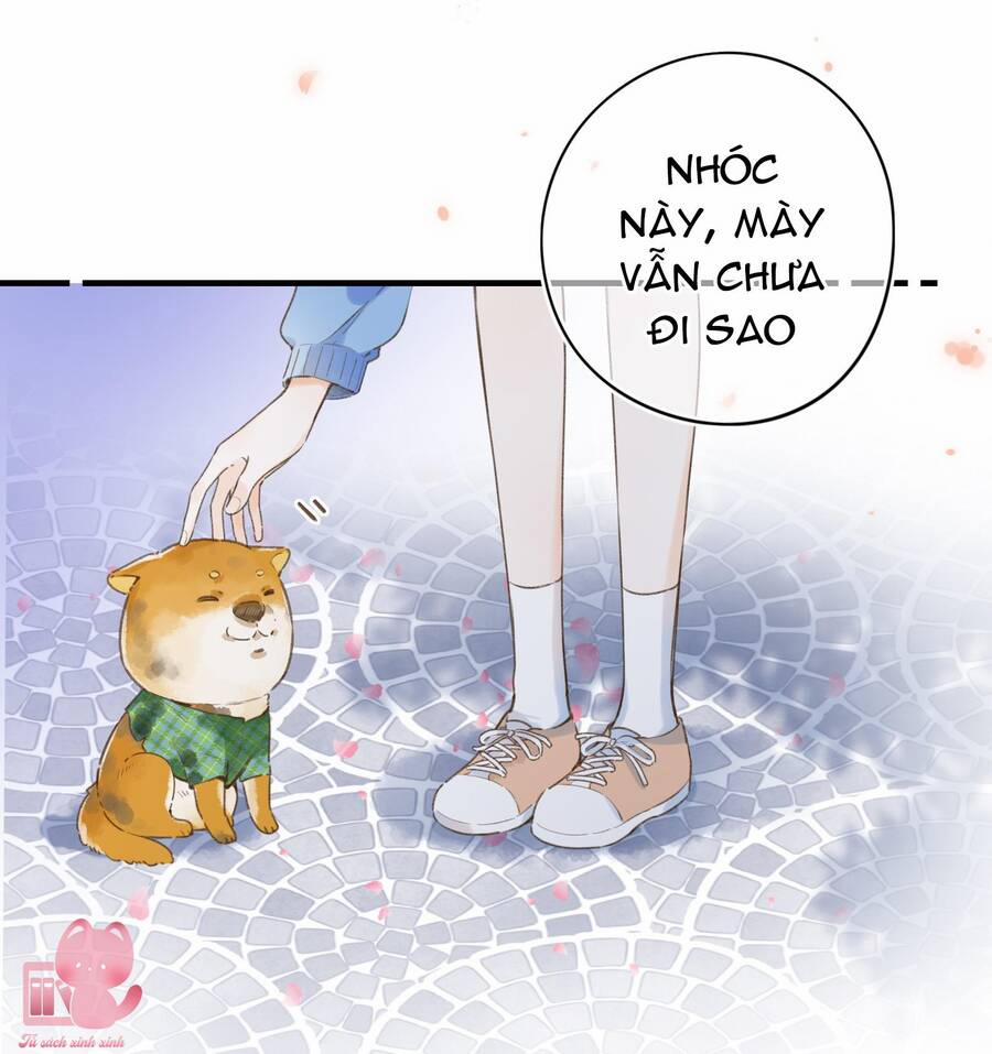 Ánh Sao Trôi Dạt Giữa Làn Nước 37 trang 20