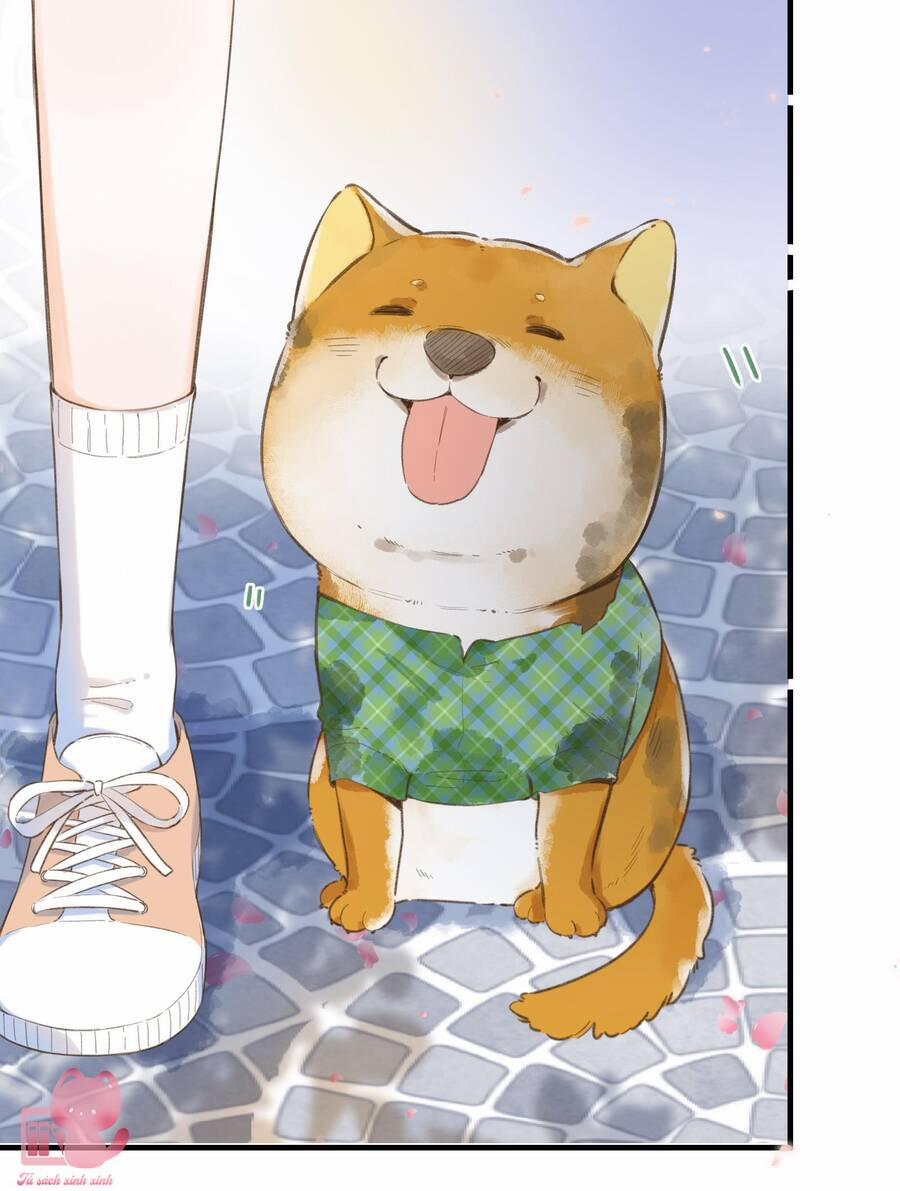 Ánh Sao Trôi Dạt Giữa Làn Nước 37 trang 25