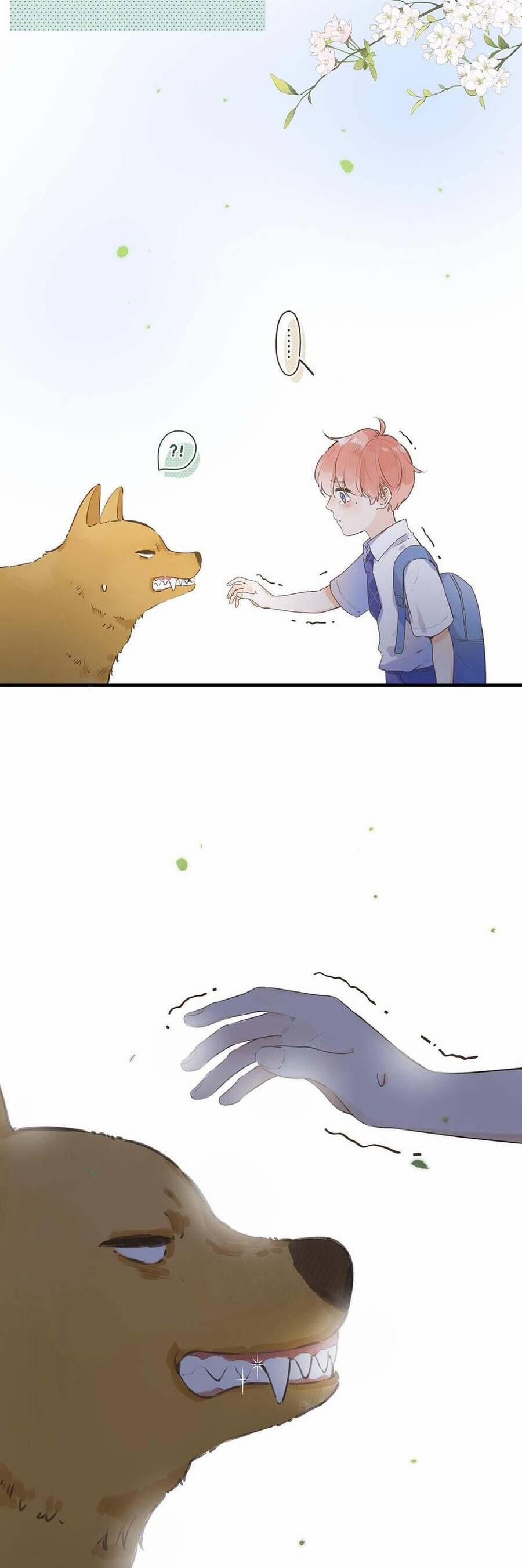 Ánh Sao Trôi Dạt Giữa Làn Nước 41 trang 19