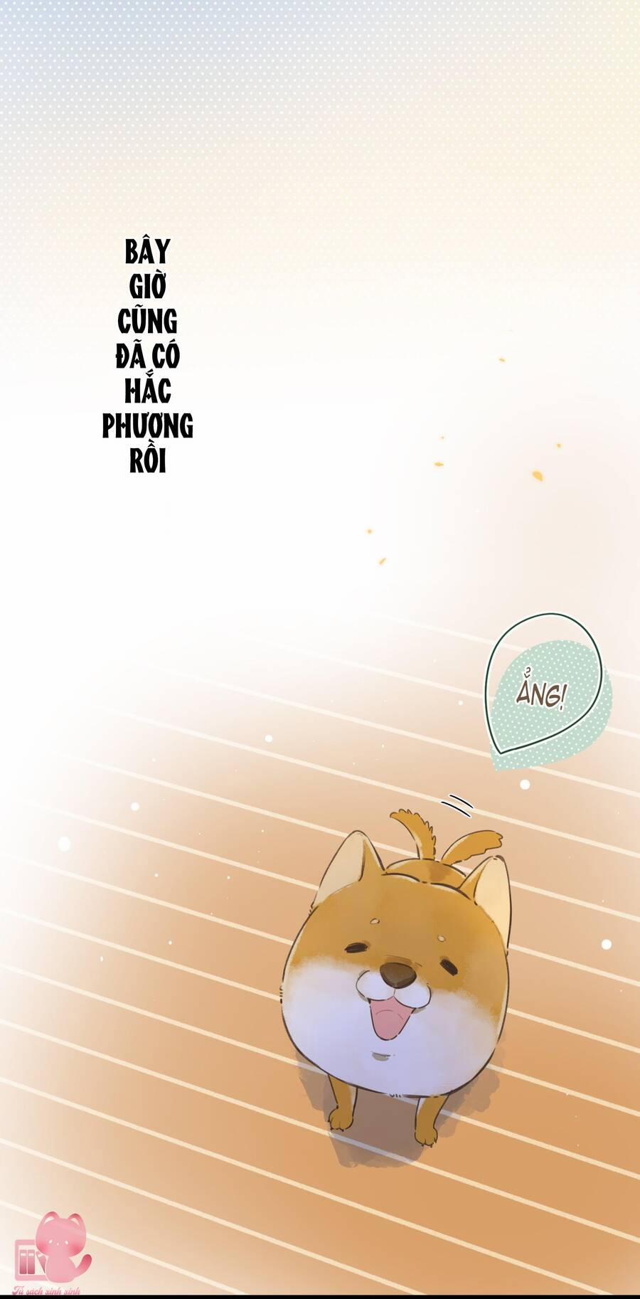 Ánh Sao Trôi Dạt Giữa Làn Nước 42.2 trang 20