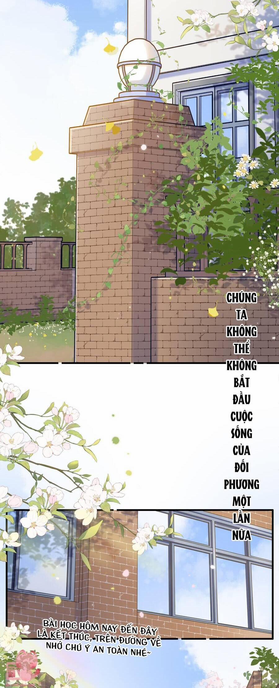 Ánh Sao Trôi Dạt Giữa Làn Nước 65 trang 3