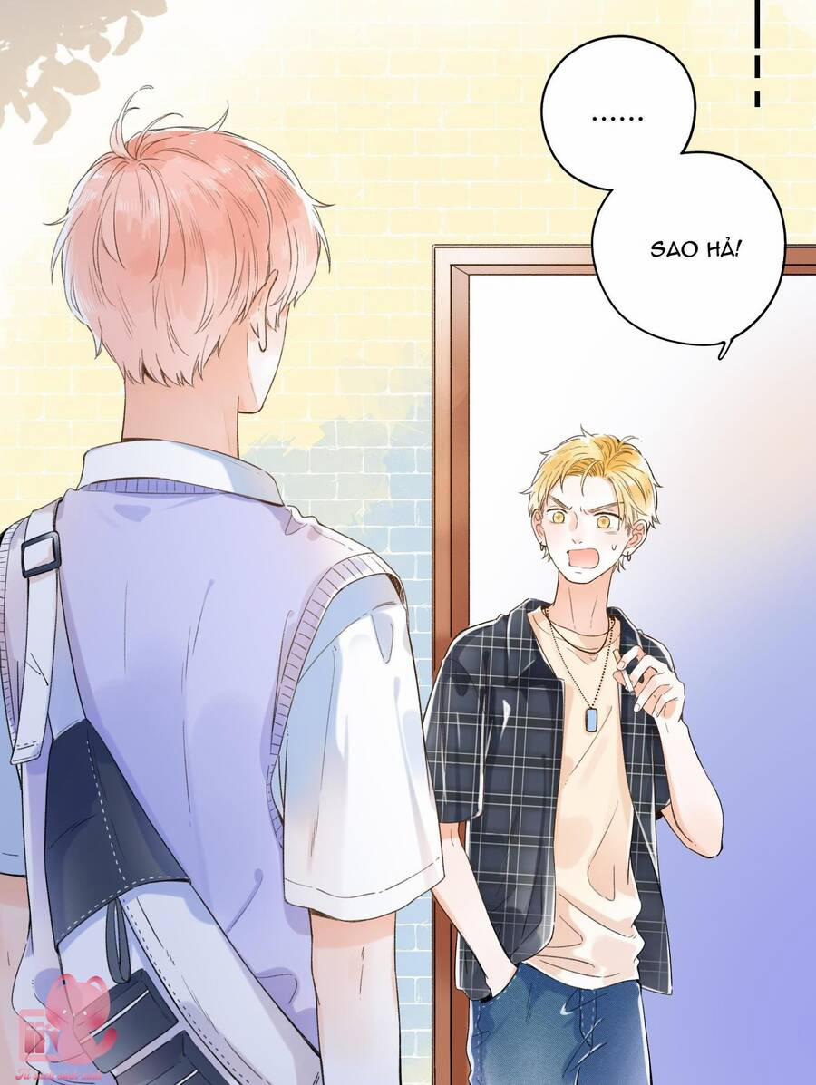 Ánh Sao Trôi Dạt Giữa Làn Nước 7 trang 15