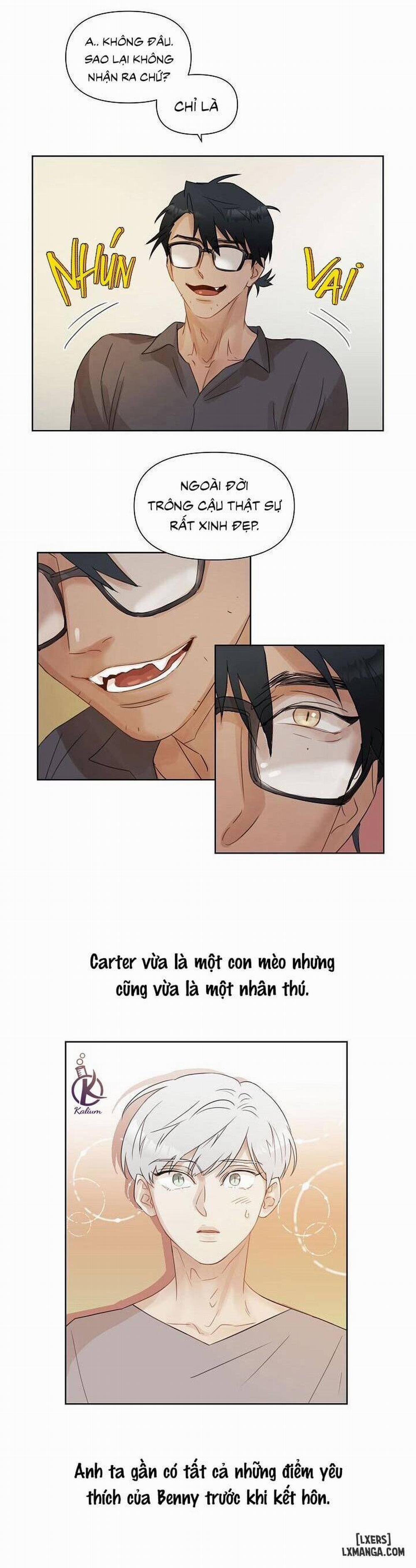 Anh, Sẽ Làm Chồng Của Em 1 trang 11