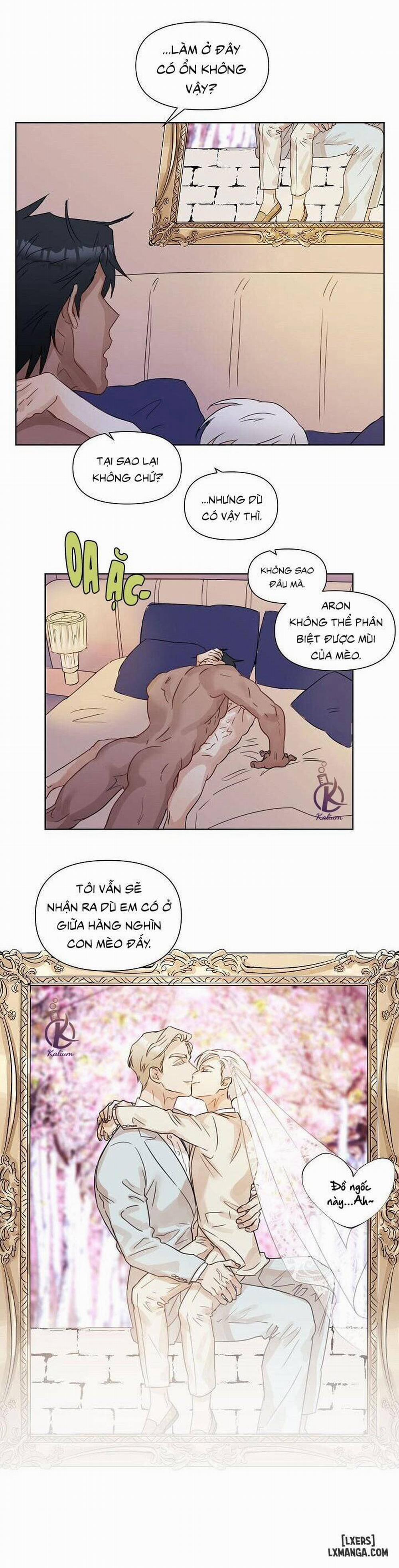 Anh, Sẽ Làm Chồng Của Em 1 trang 19