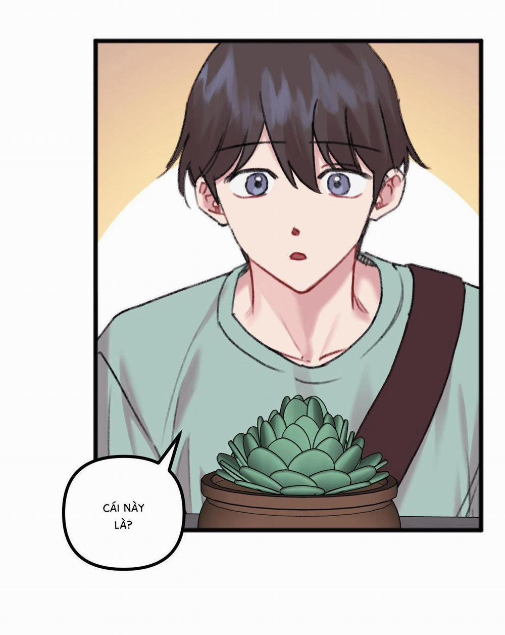 Anh Thật Sự Thích Em Sao 21 trang 3