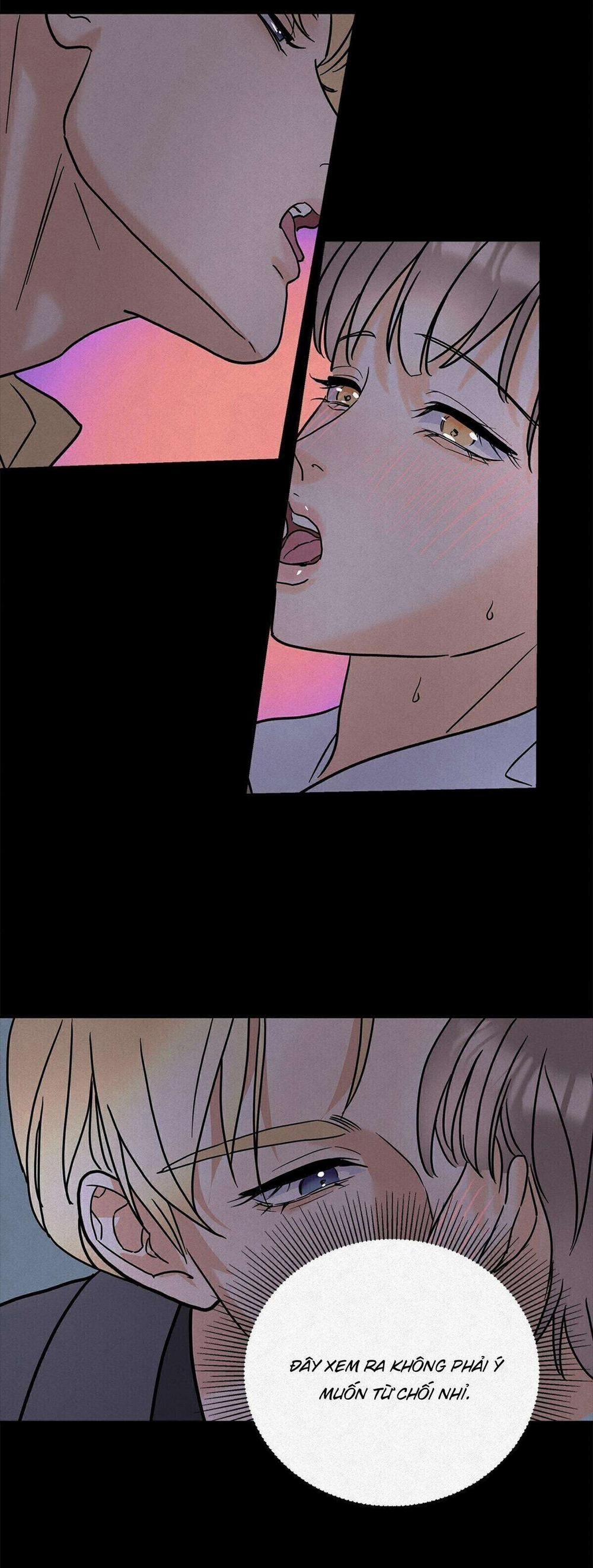 Anh Trai Rẻ Tiền Của Tôi 11 trang 12