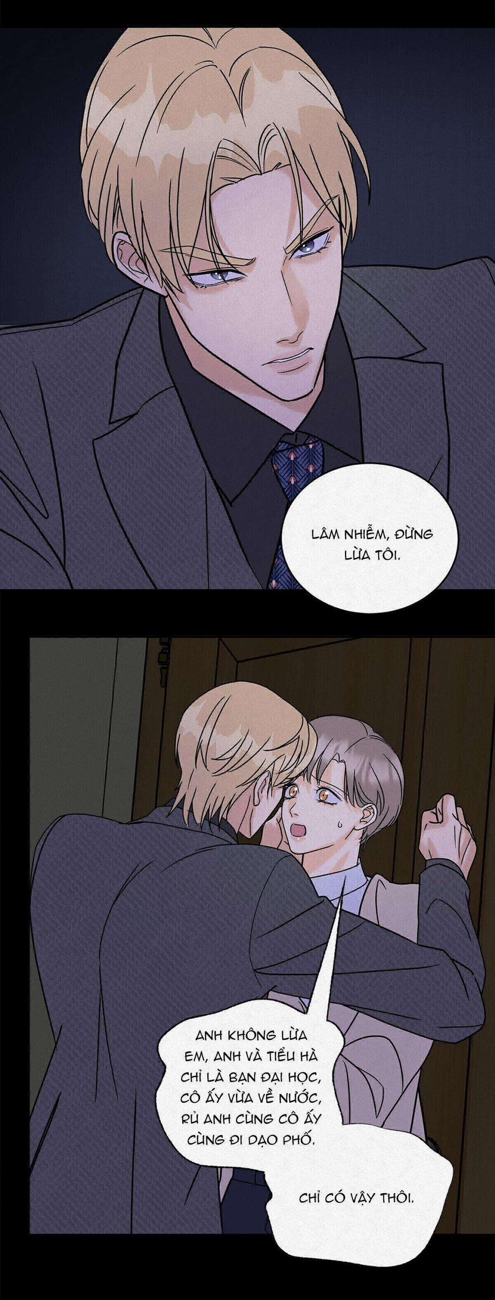 Anh Trai Rẻ Tiền Của Tôi 11 trang 7
