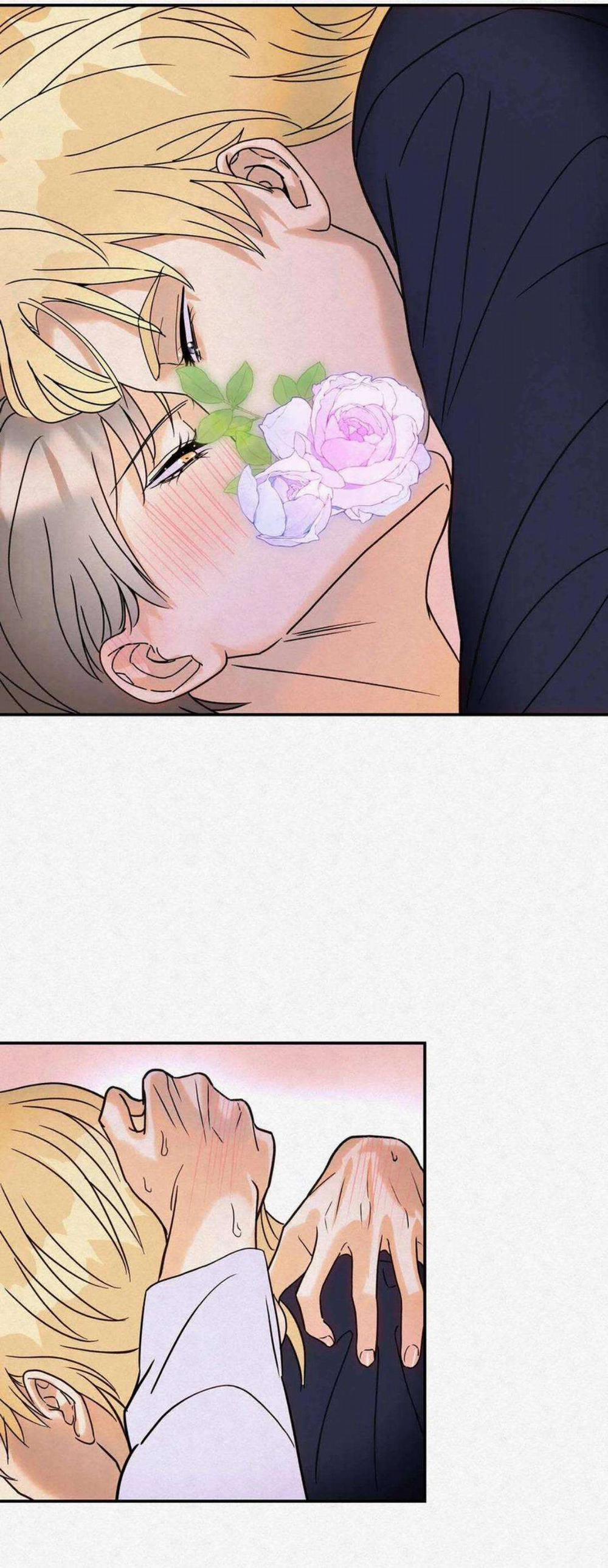 Anh Trai Rẻ Tiền Của Tôi 14 trang 7