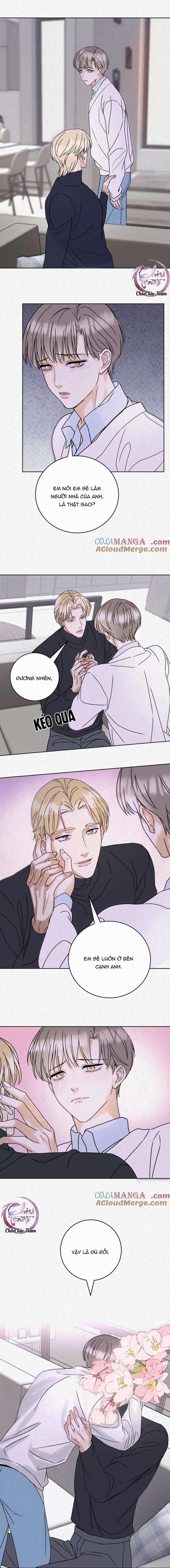 Anh Trai Rẻ Tiền Của Tôi 15 trang 6