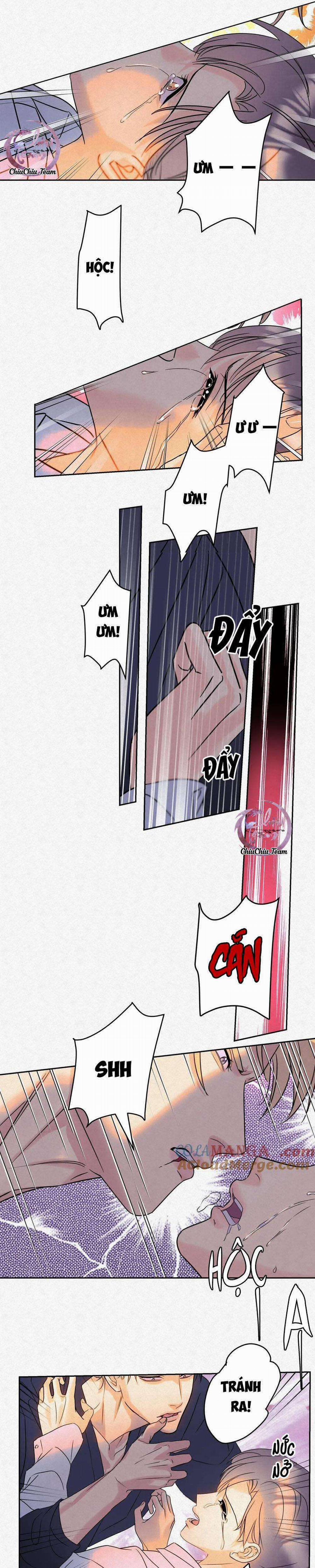 Anh Trai Rẻ Tiền Của Tôi 17 trang 8