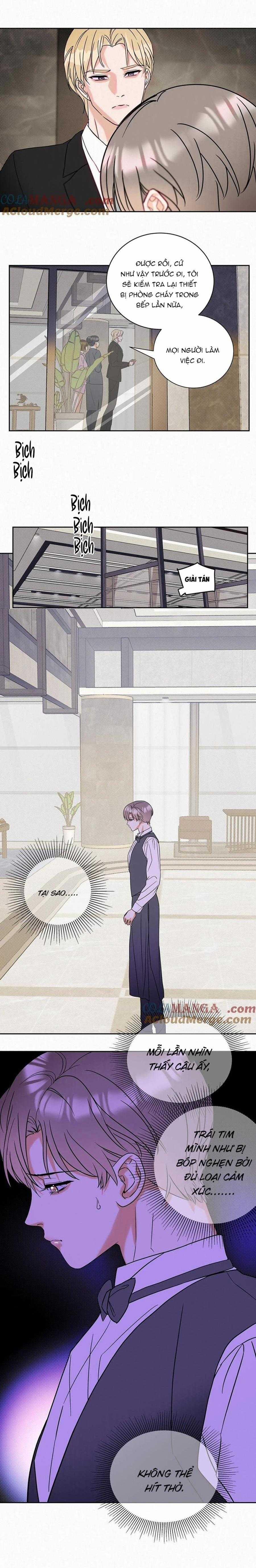 Anh Trai Rẻ Tiền Của Tôi 20 trang 2