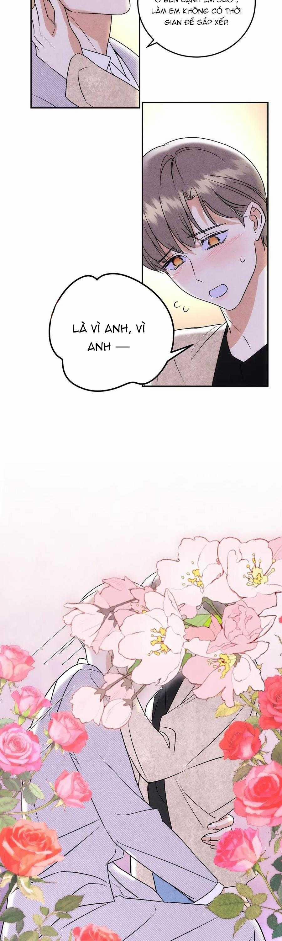Anh Trai Rẻ Tiền Của Tôi 65 trang 25