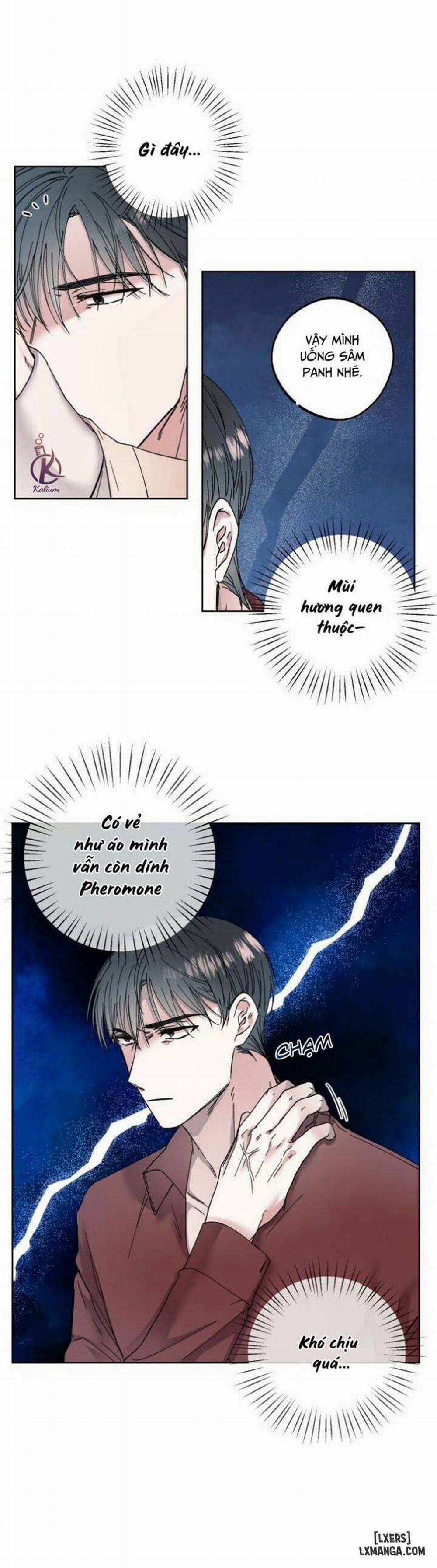 Ánh trăng lụi tàn 4 trang 12