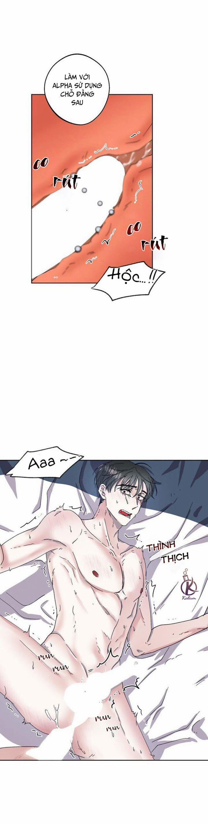 Ánh trăng lụi tàn 5 trang 13