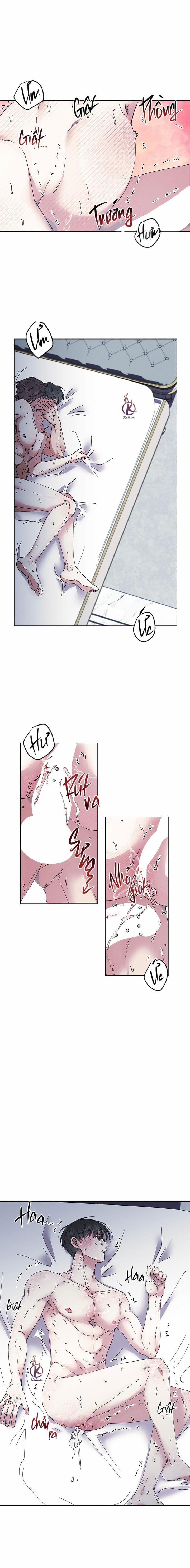 Ánh trăng lụi tàn 9 trang 11