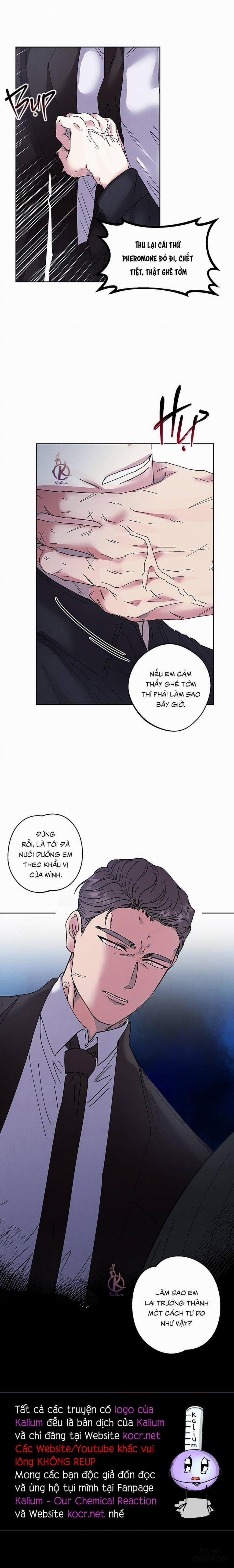 Ánh trăng lụi tàn Ngoại truyện 1 trang 13