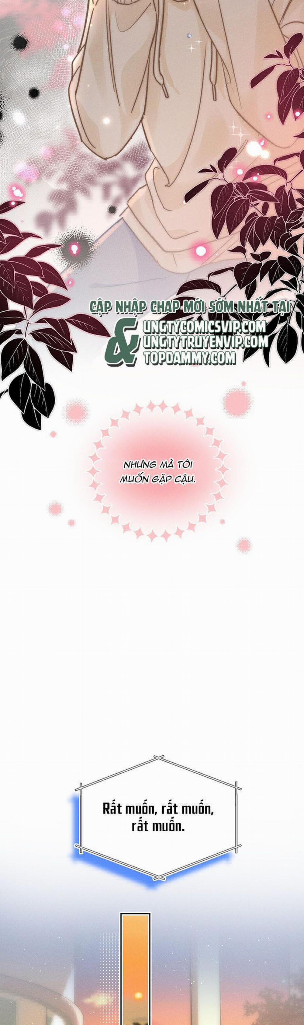 Ánh Trăng Vì Tôi Mà Đến 35 trang 13