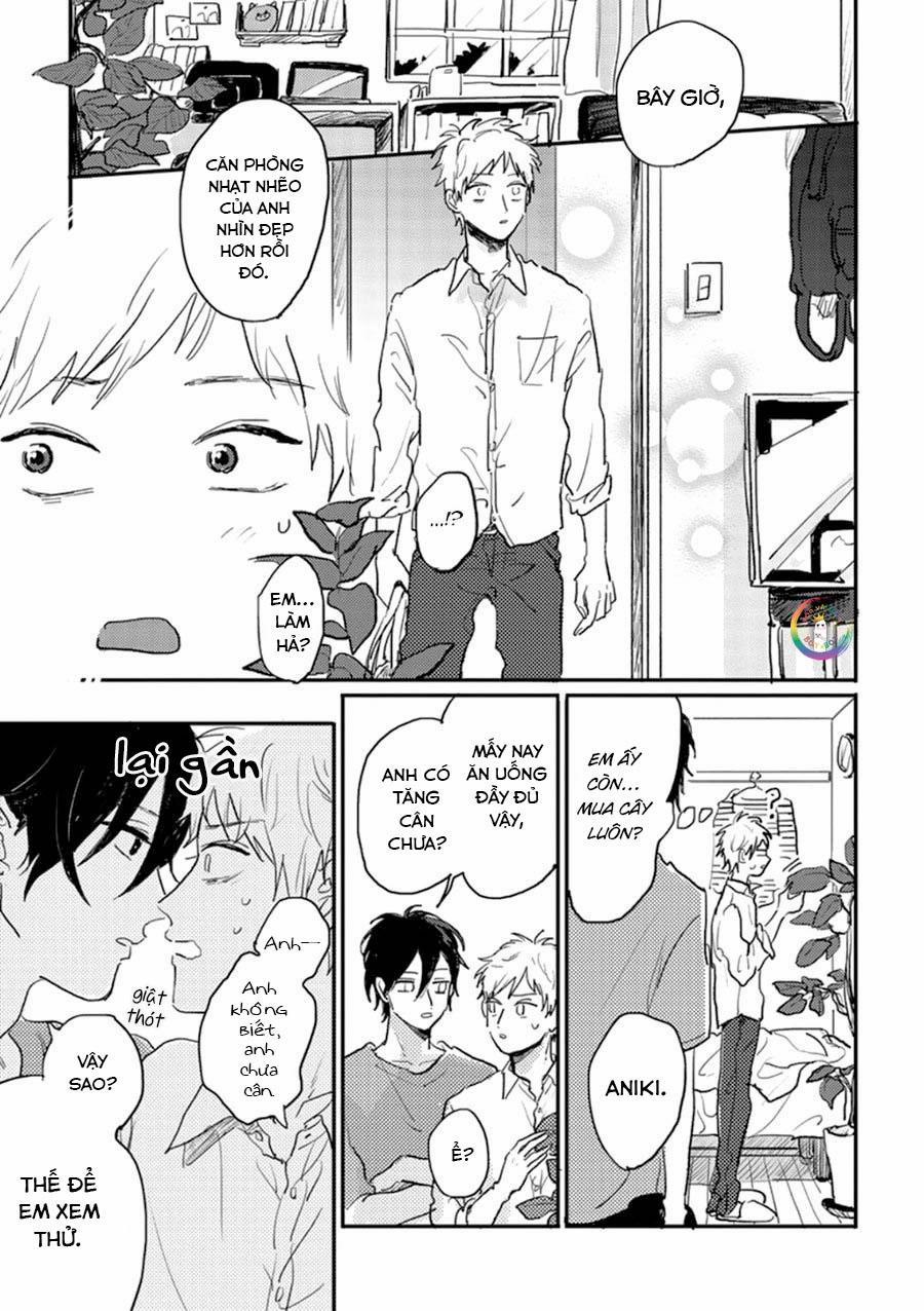 Aniki Wo Aegasu Houhou 3 trang 17