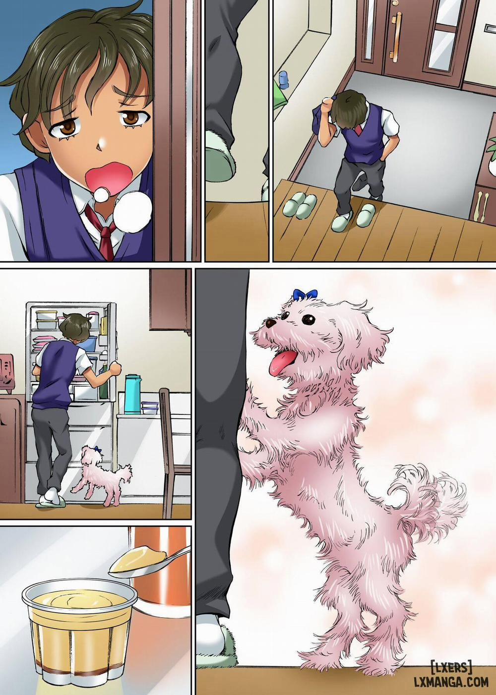 Anoko mo Konoko mo Hyoui de Hatsujou 2 END trang 2