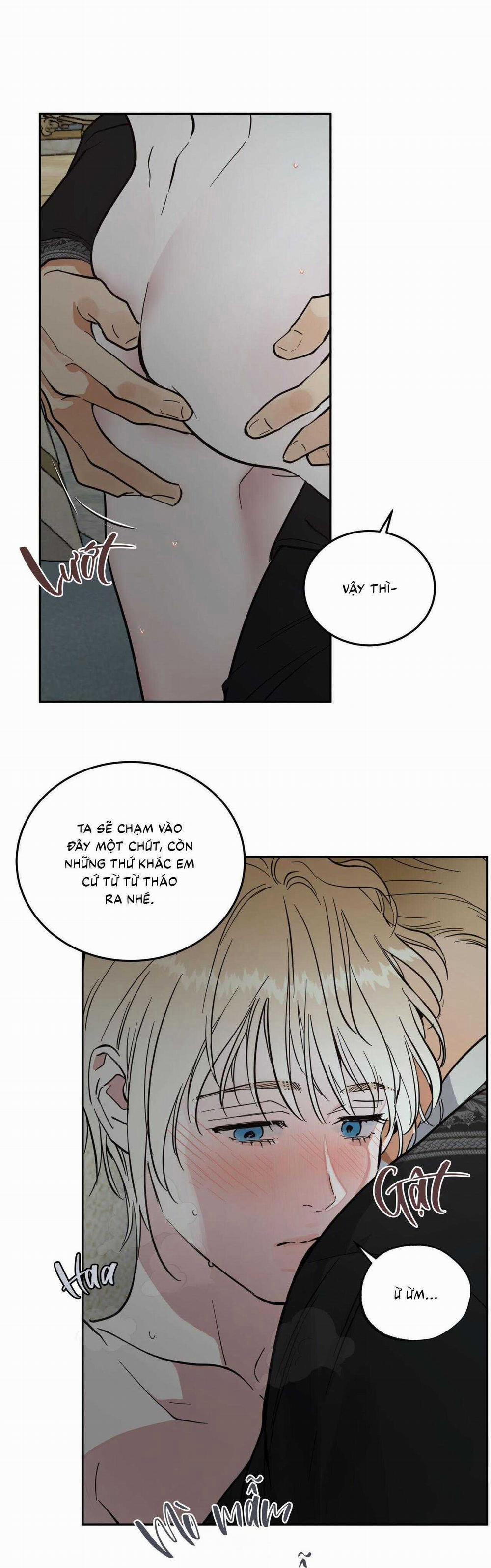 Antidote 38 trang 13