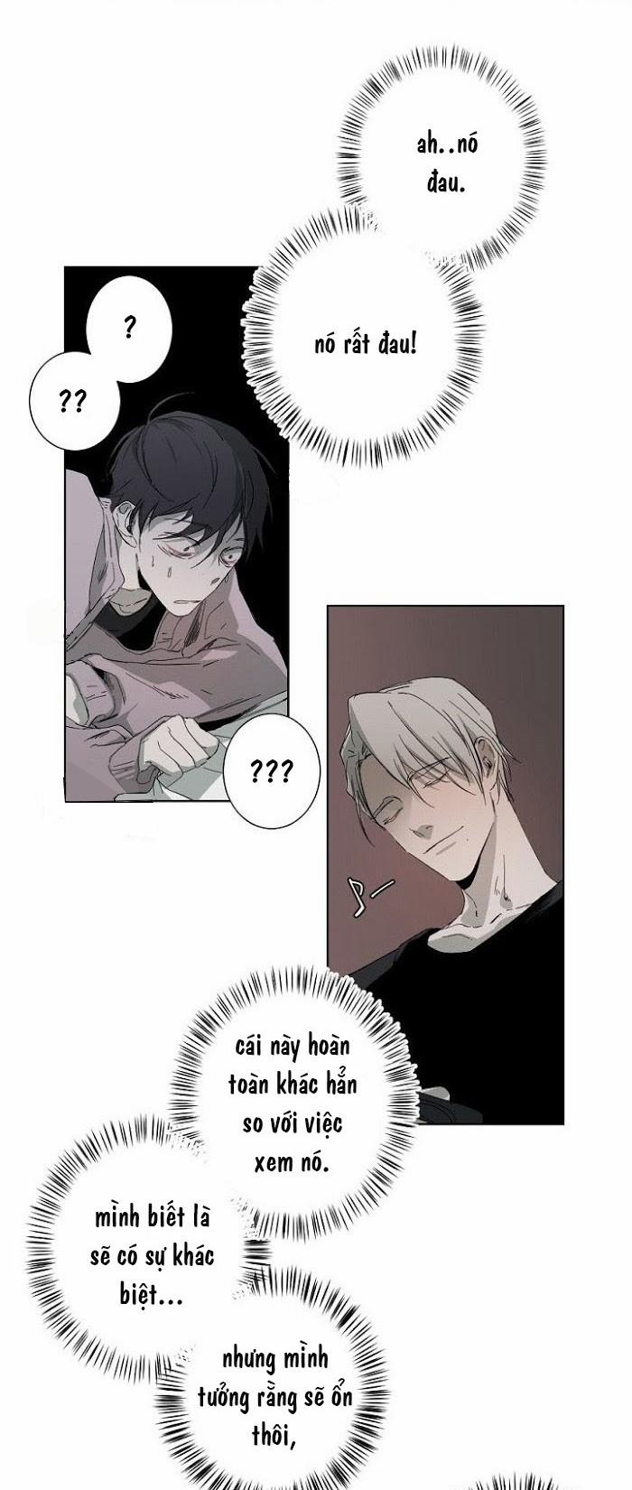 Aporia 8 trang 19