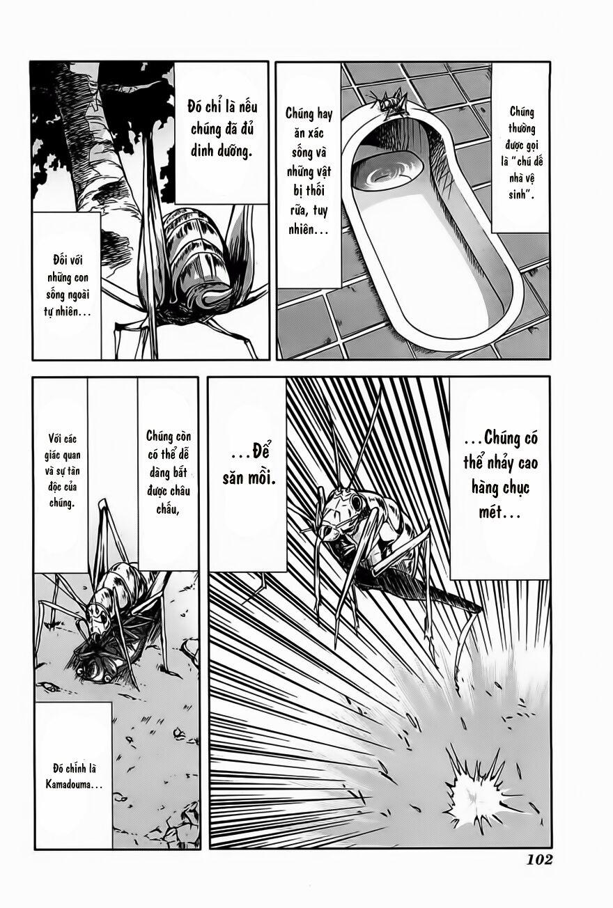 Arachnid 13 trang 20