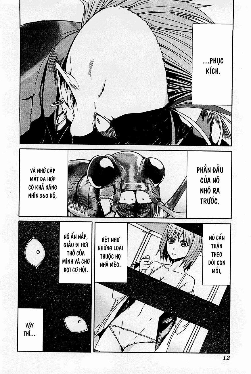 Arachnid 21 trang 14