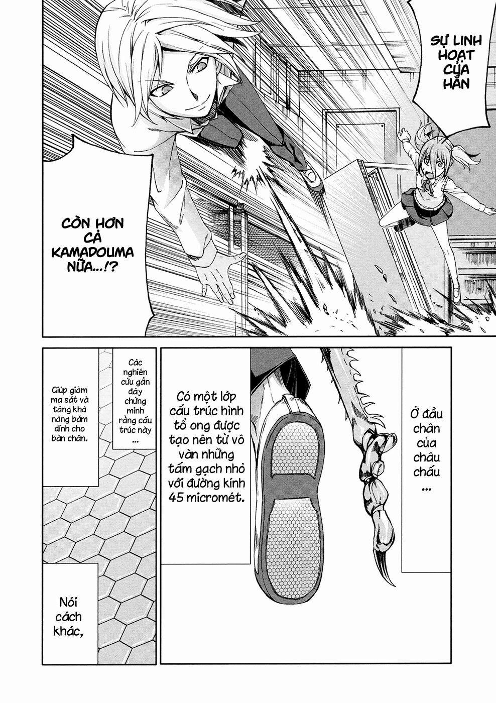 Arachnid 38 trang 17