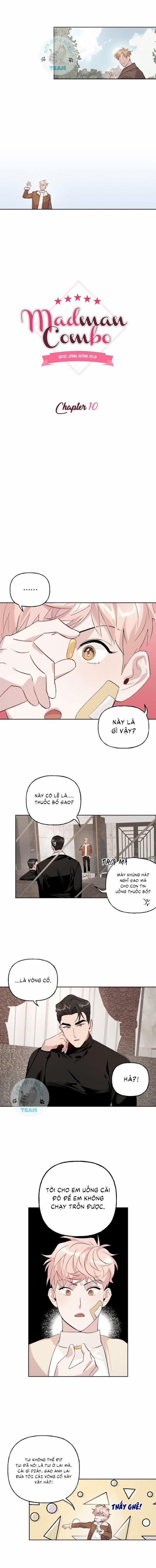 Assorted Wildness 10 trang 2