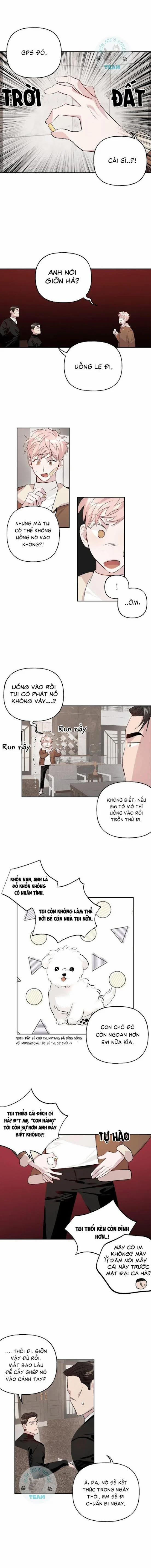 Assorted Wildness 10 trang 3