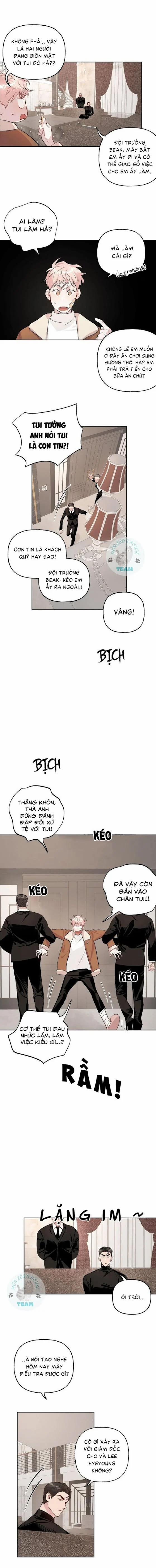 Assorted Wildness 10 trang 4