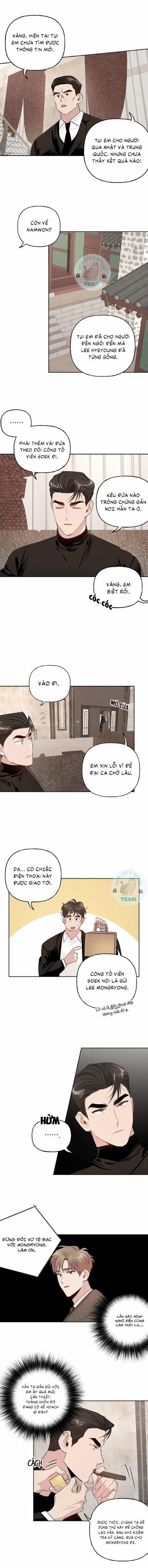 Assorted Wildness 10 trang 5