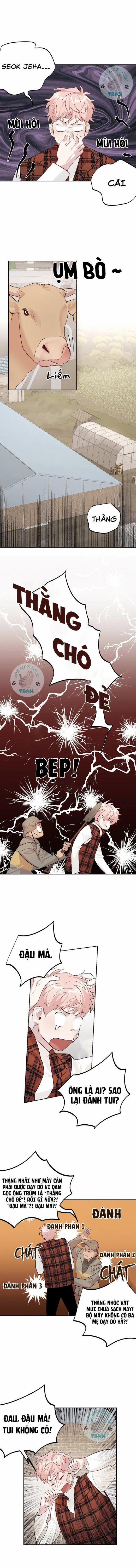 Assorted Wildness 10 trang 7