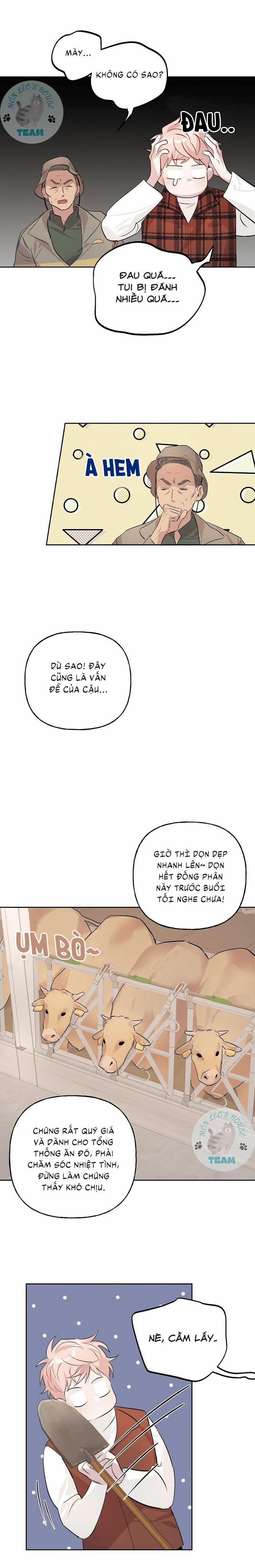 Assorted Wildness 10 trang 8