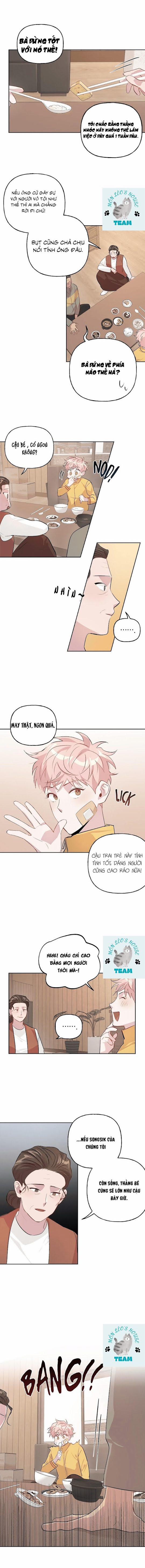 Assorted Wildness 11 trang 3