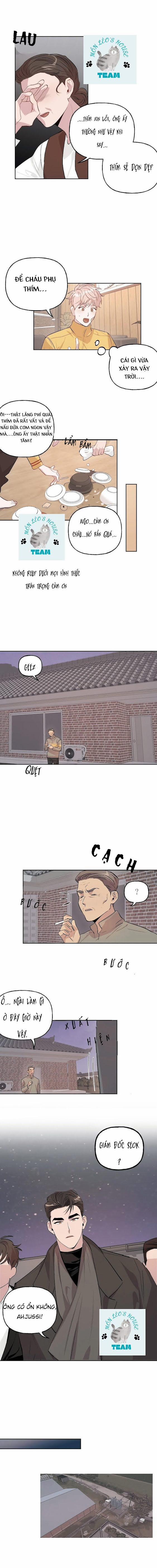 Assorted Wildness 11 trang 5