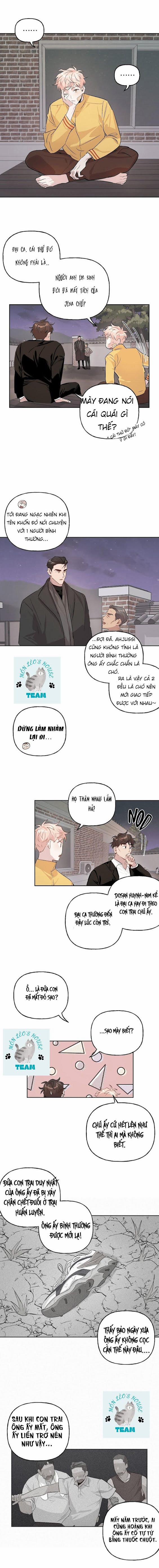 Assorted Wildness 11 trang 6