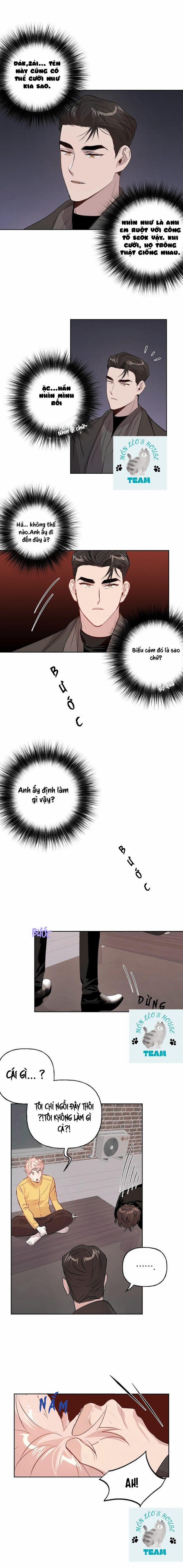 Assorted Wildness 11 trang 8