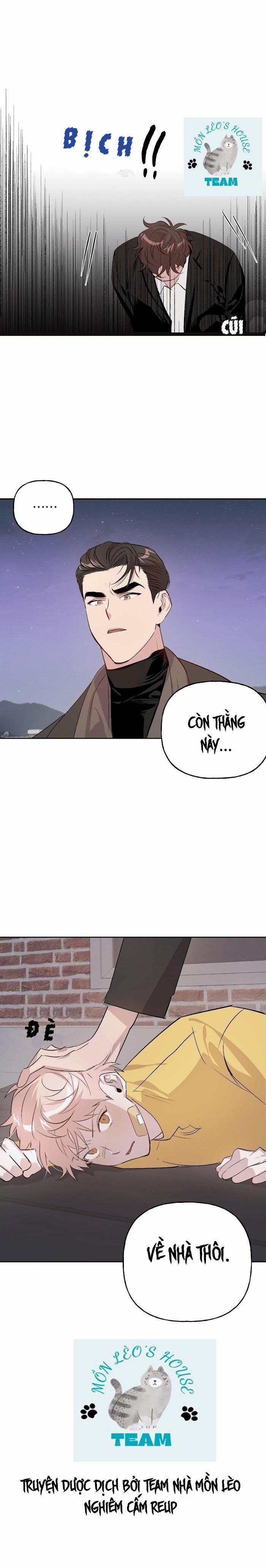 Assorted Wildness 11 trang 9