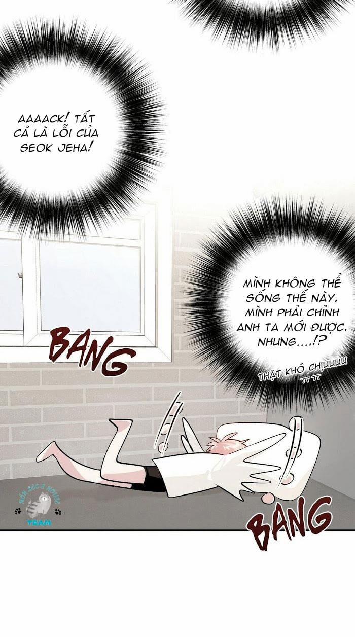 Assorted Wildness 12 trang 11