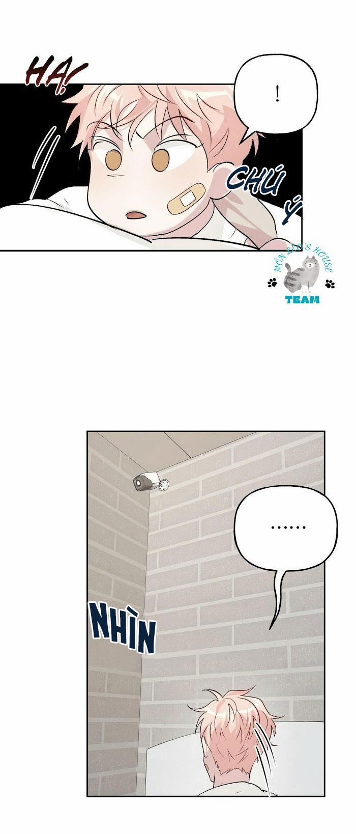 Assorted Wildness 12 trang 12