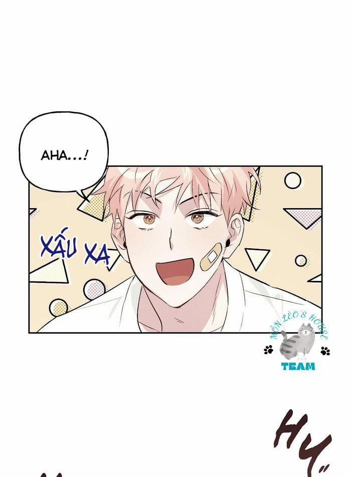 Assorted Wildness 12 trang 13