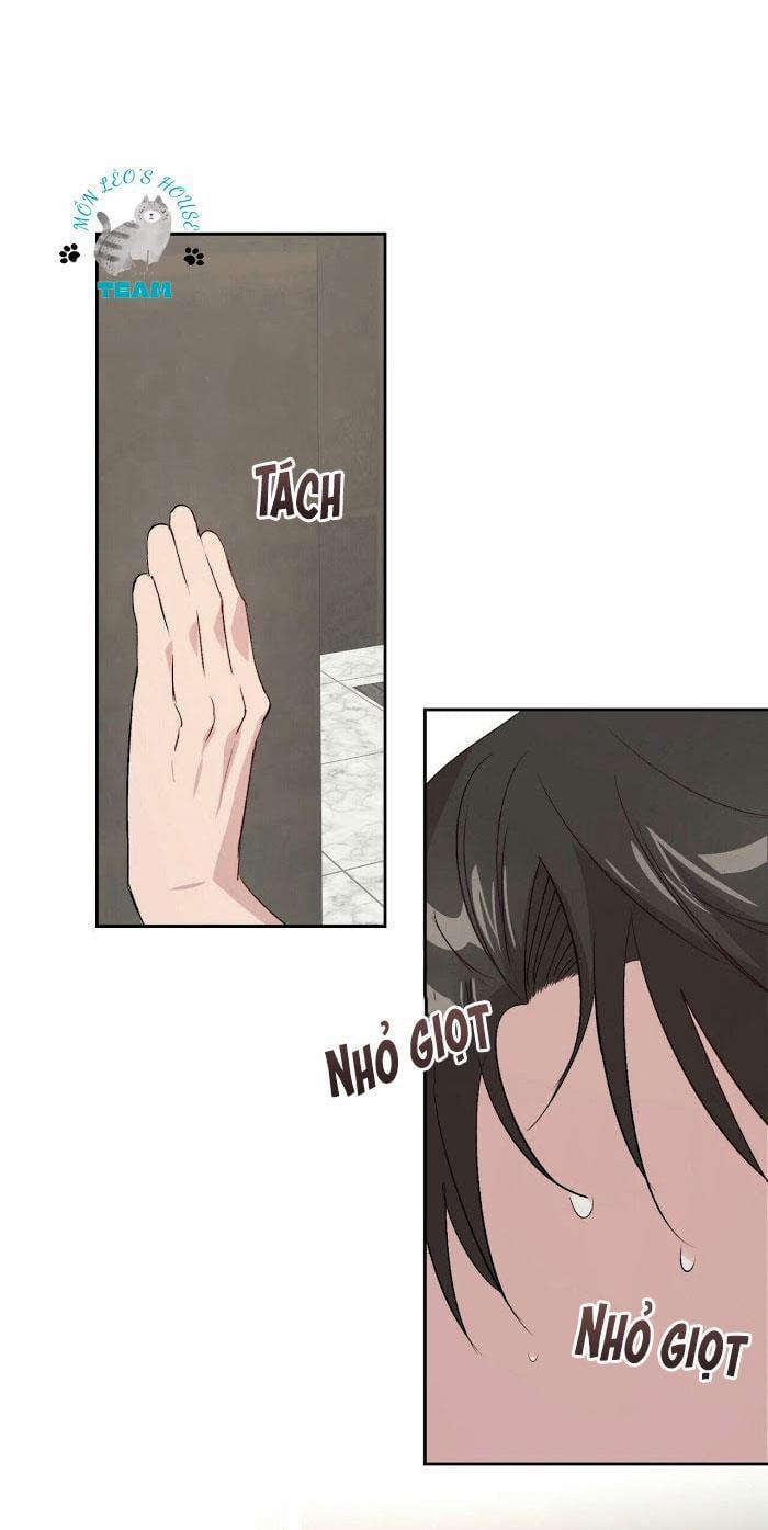 Assorted Wildness 12 trang 16