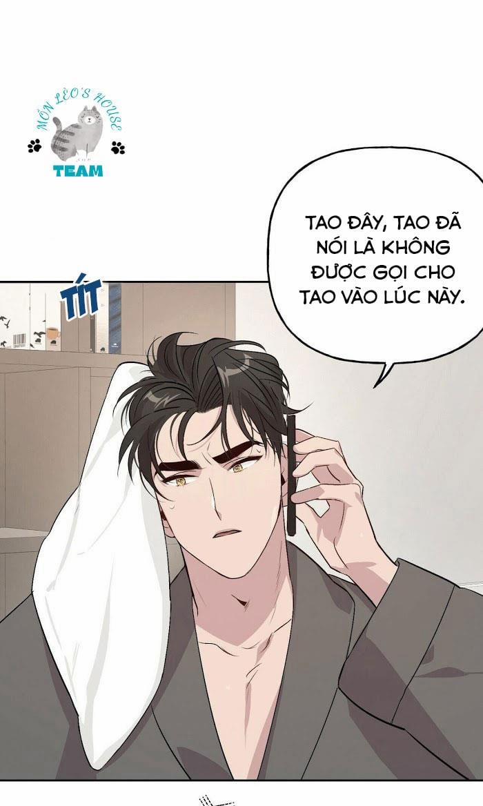 Assorted Wildness 12 trang 19